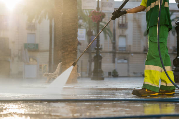 Best Driveway Cleaning and Restoration in Malta, IL